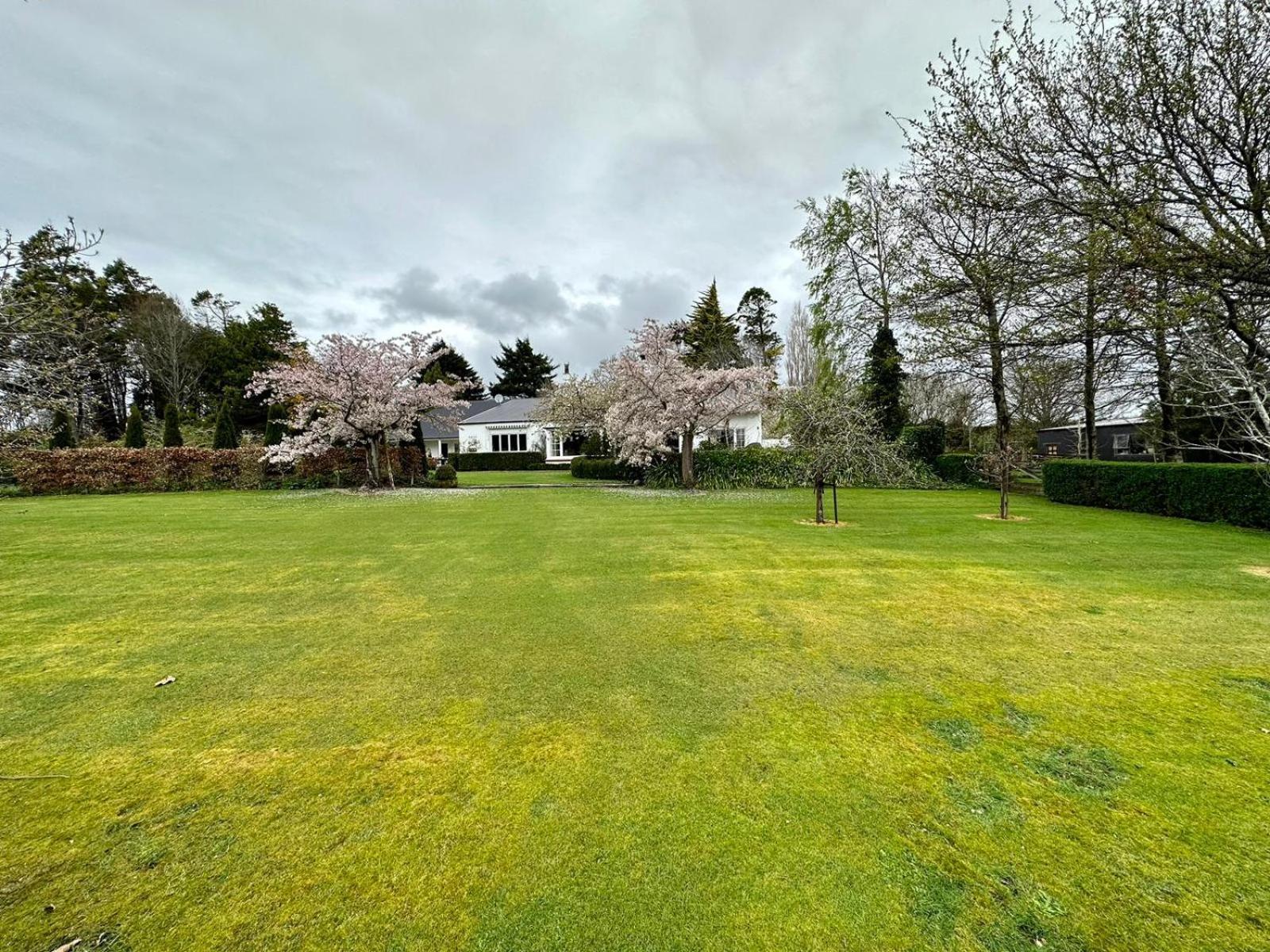 Whiteacres Bed and Breakfast Invercargill Eksteriør billede
